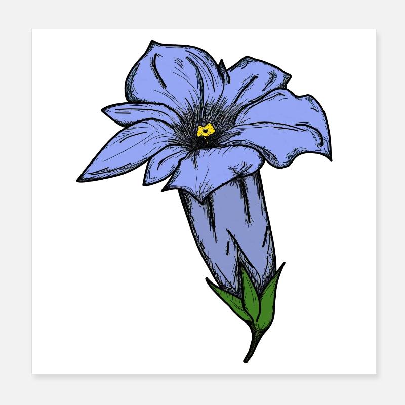 Gentian, drawn Poster 8" x 8" (20x20 cm)