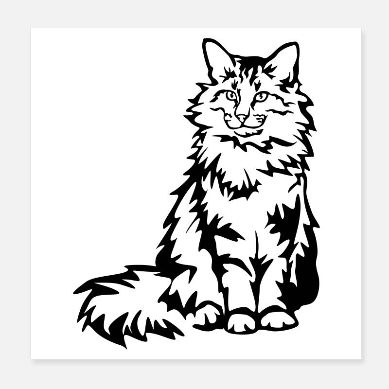 Chat des forêts norvégiennes Poster 20 x 20 cm