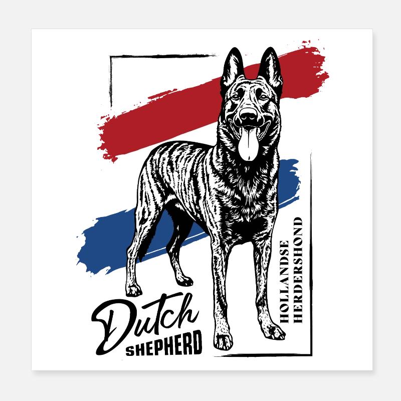 Dutch Shepherd - Dutchie  Poster 8" x 8" (20x20 cm)