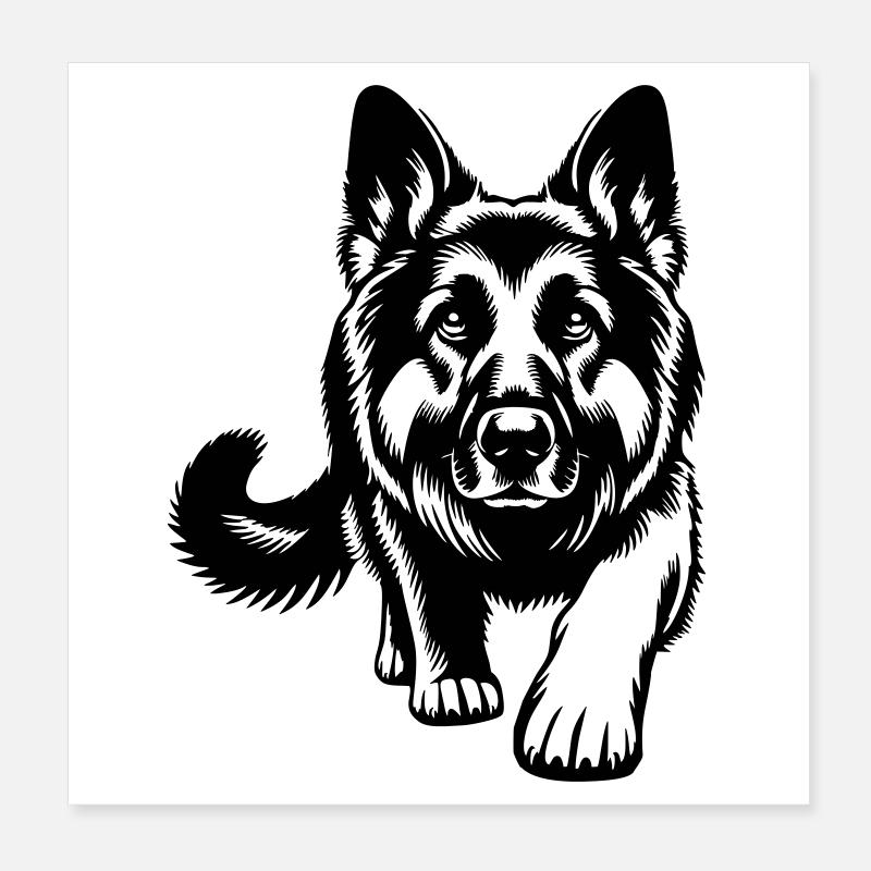 Deutscher schäferhund Poster 20x20 cm