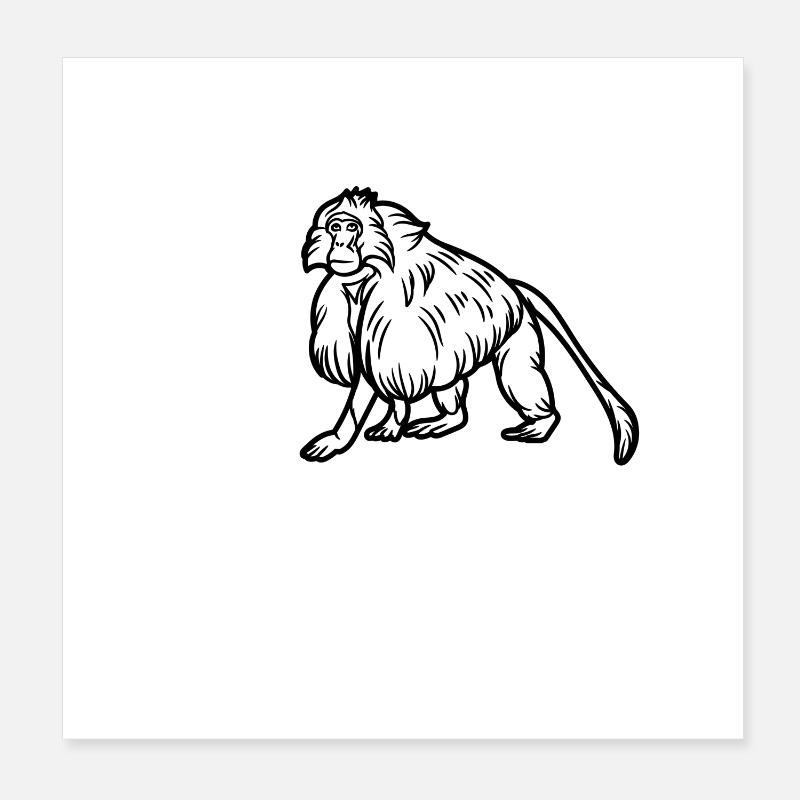 Gelada-Affe Poster 20x20 cm