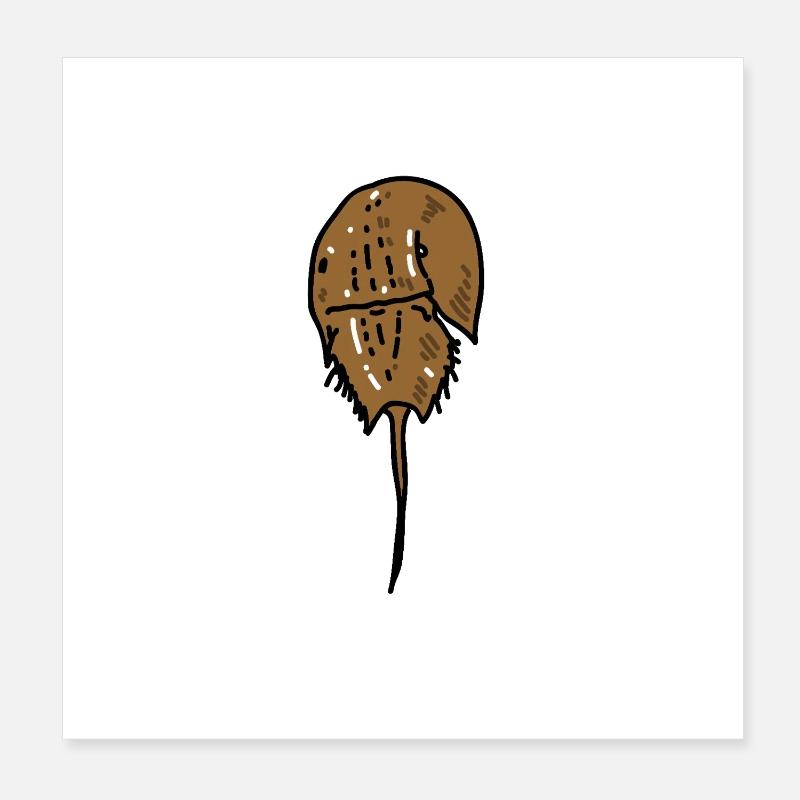 Ancient Horseshoe Crab Poster 8" x 8" (20x20 cm)