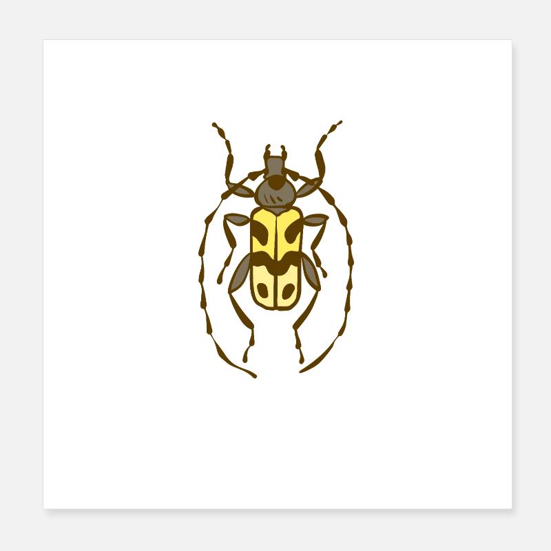 Longicorne élégant Poster 20 x 20 cm