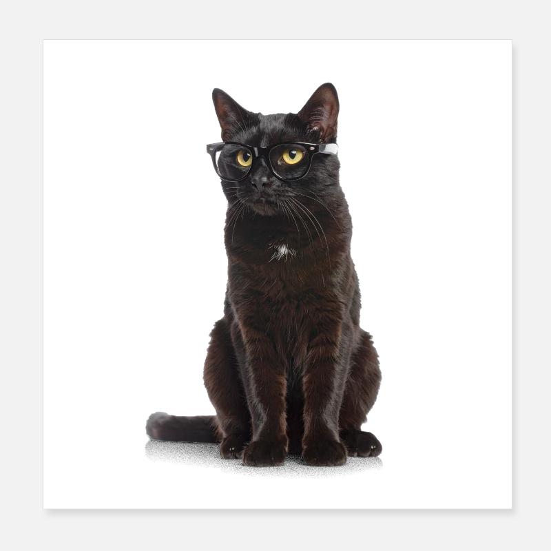 Black Cat with Glasses – Cool, Clever & Totally K Poster 8" x 8" (20x20 cm)