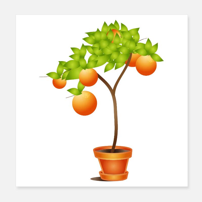 Kleiner Orangenbaum im Blumentopf Poster 20x20 cm