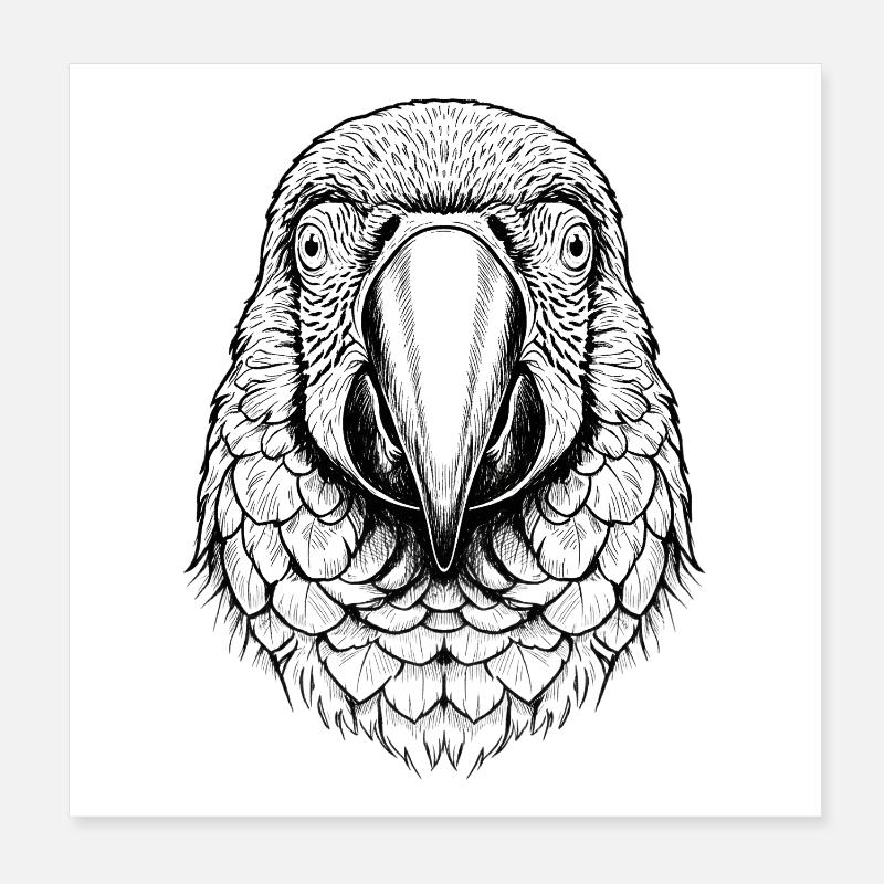 Perroquet ara Poster 20 x 20 cm