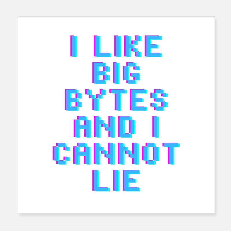 Ich mag große Bytes Poster 20x20 cm