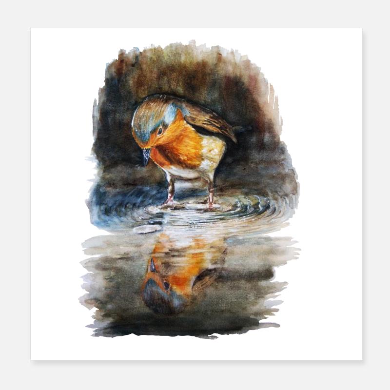 Rotkehlchen Poster 20x20 cm