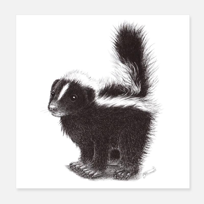 Cute cool skunk Poster 8" x 8" (20x20 cm)