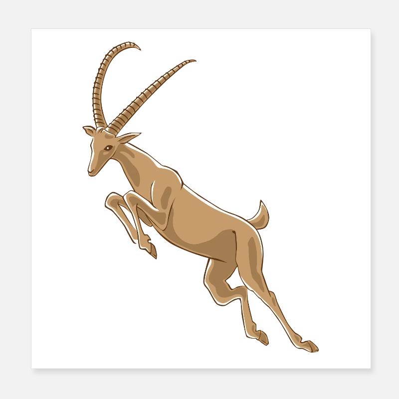 bouquetin Poster 20 x 20 cm
