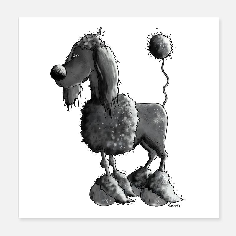 Drôle Caniche Noir - Chien - Chiens Poster 20 x 20 cm