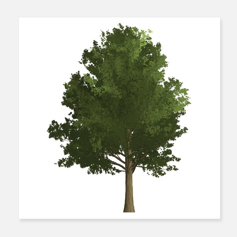 Arbre forêt érable, coloré, vert Poster 20 x 20 cm