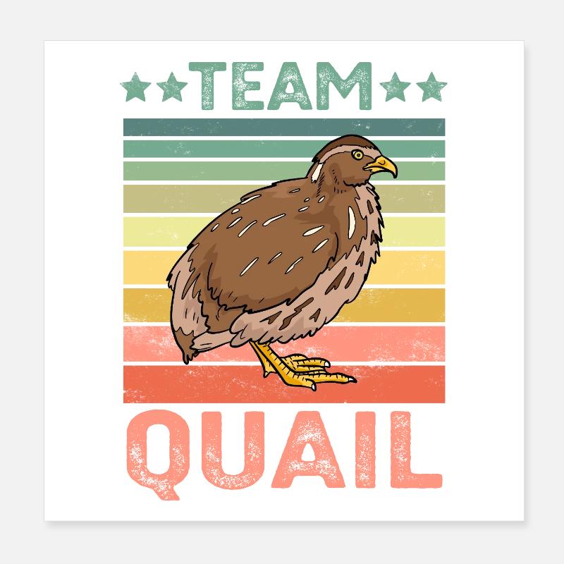 Caille Poster 20 x 20 cm