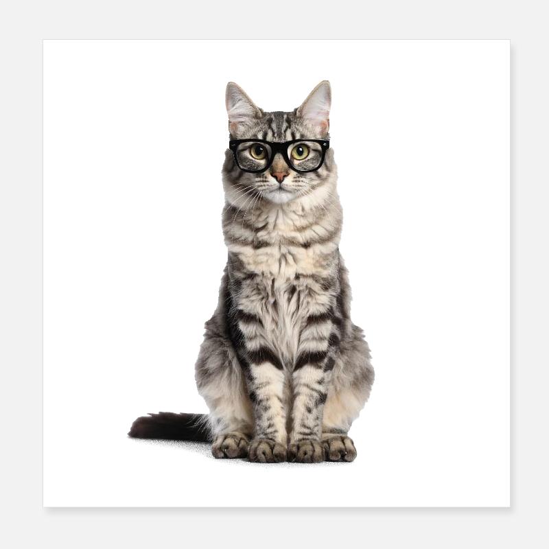 Getigerte Katze mit Brille – Wild at Heart Poster 20x20 cm