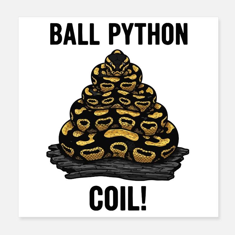 Royal Python Ball Python Coil Reptilienpyramide Poster 20x20 cm