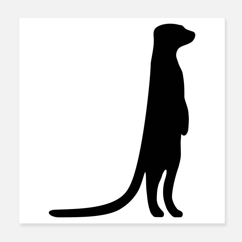 witziges Erdmännchen neugierig tierisch Poster 20x20 cm