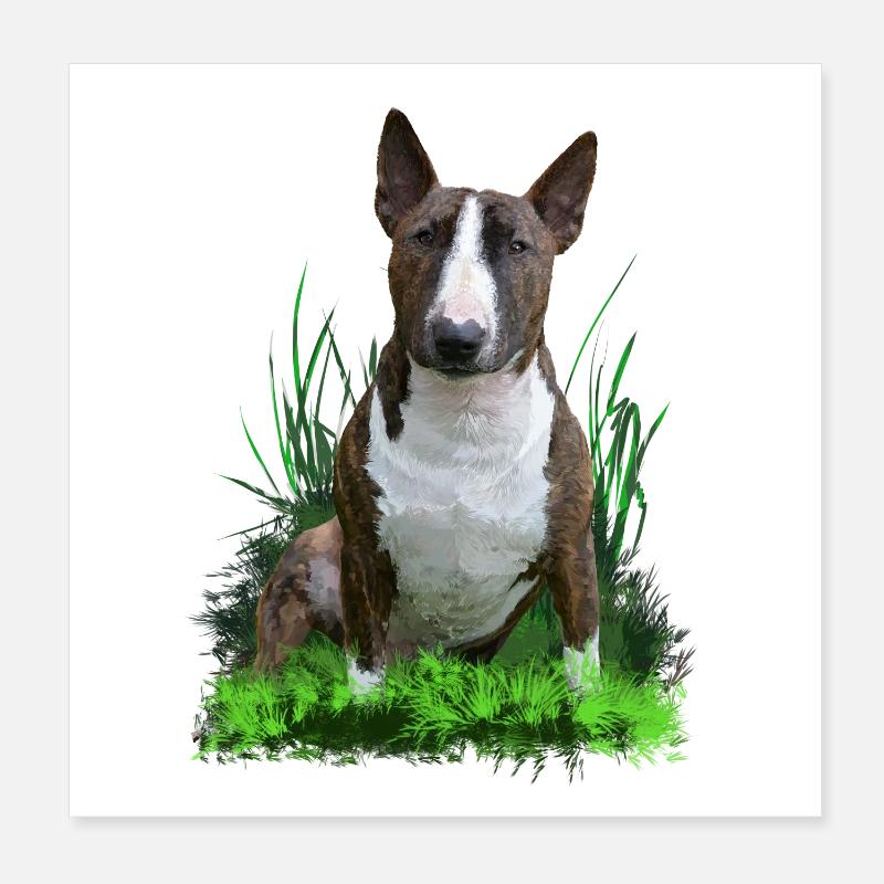 Bullterrier Poster 20x20 cm