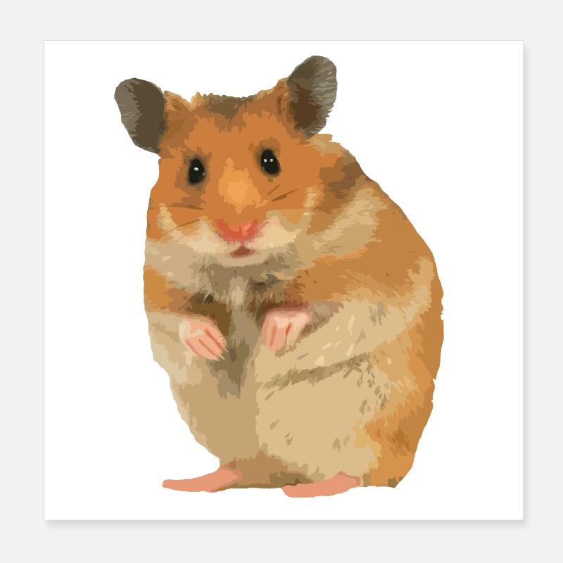 Hamster Poster 20x20 cm
