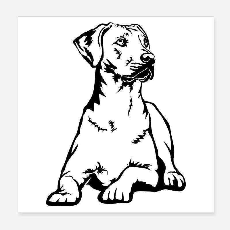 Rhodesian Ridgeback Poster 20 x 20 cm