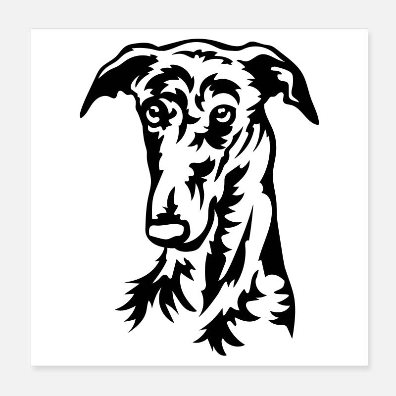Galgo Kopf Poster 20x20 cm