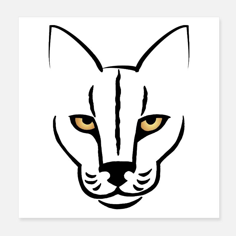 Le regard du chat Poster 20 x 20 cm