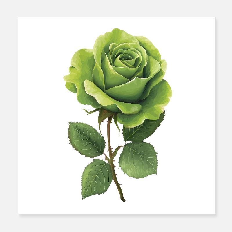 Green Rose Poster 8" x 8" (20x20 cm)