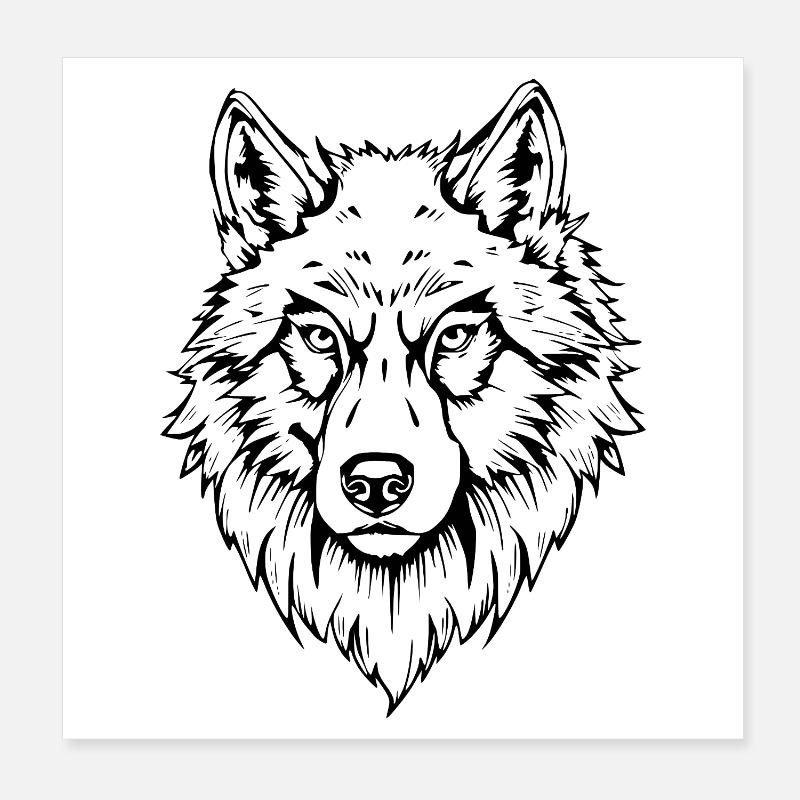 schwarzer Wolf Kopf Gesicht  Poster 20x20 cm