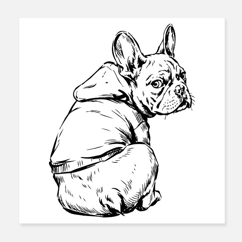 Französischer Bulldog Kuschelpullover Poster 20x20 cm