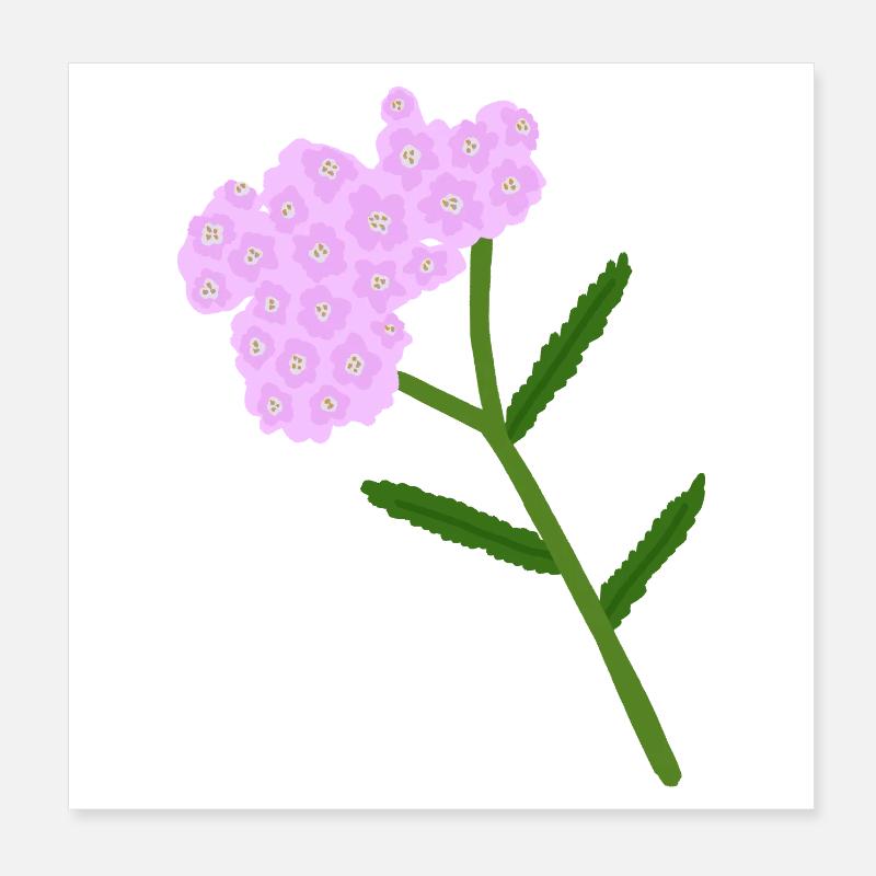 Grappe de fleurs d’achillée pastel Poster 20 x 20 cm