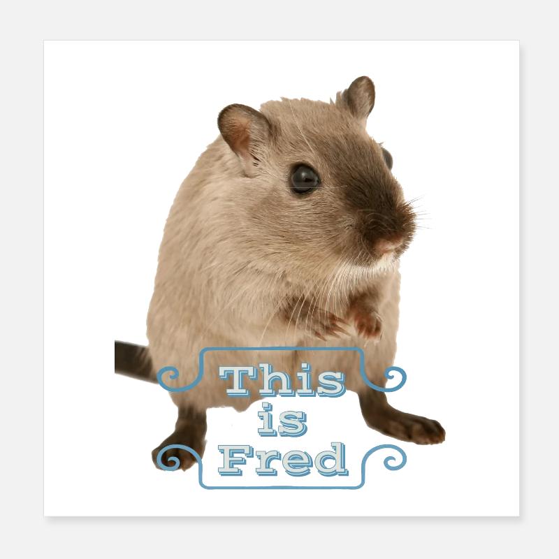 C’est une idée cadeau drôle souris mignonne fred Poster 20 x 20 cm