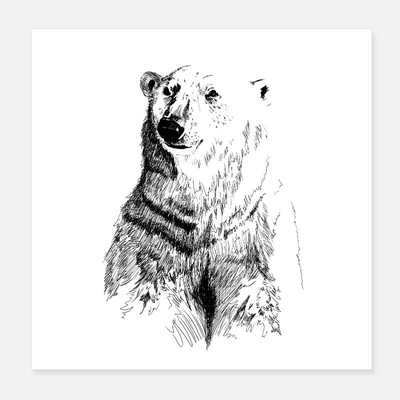 Eisbär Poster 20x20 cm
