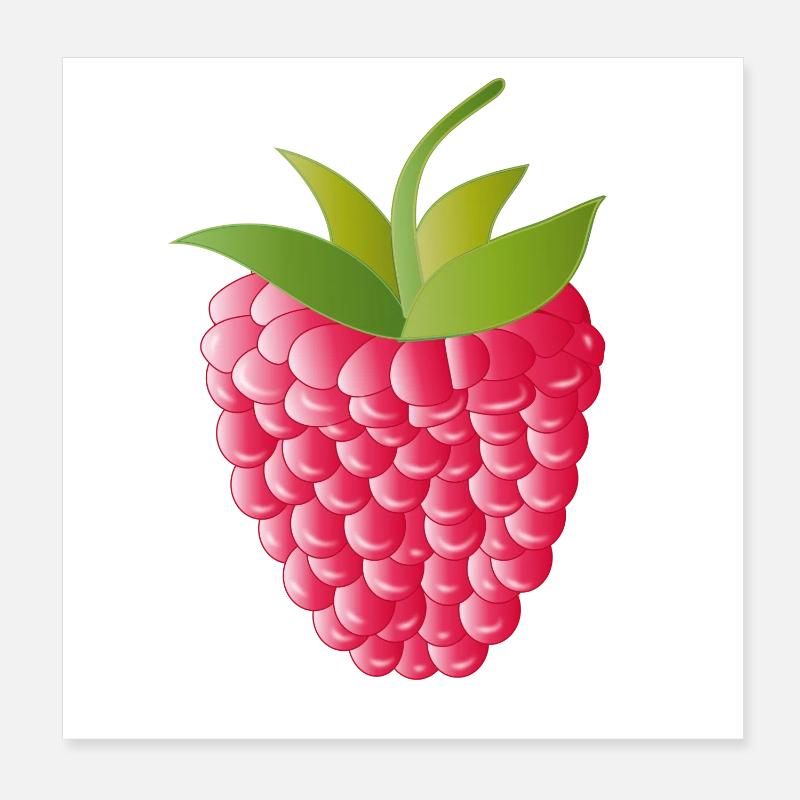 pink red ripe raspberry Poster 8" x 8" (20x20 cm)