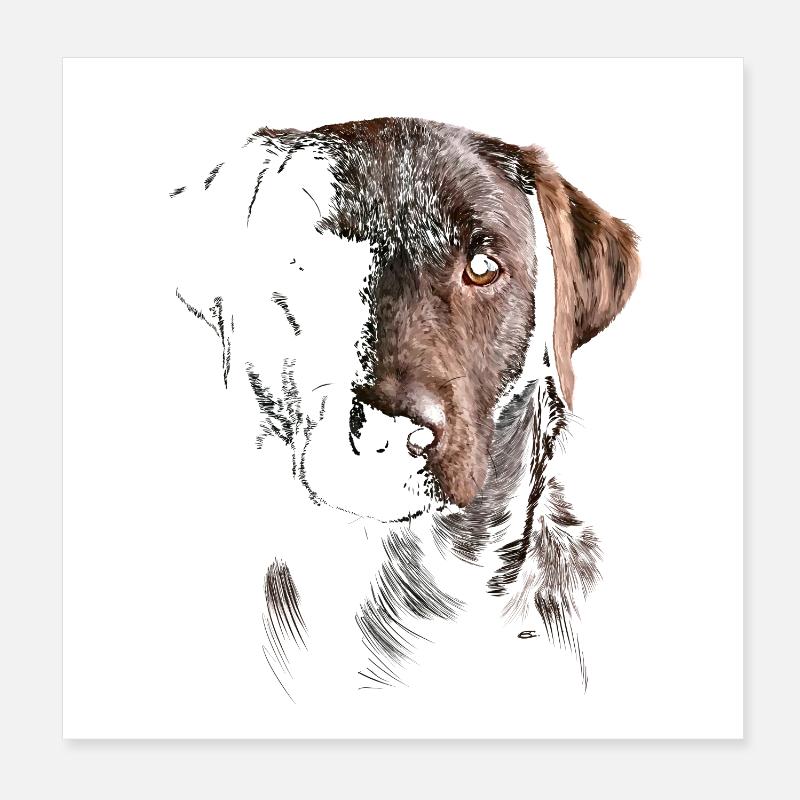 Labrador Poster 8" x 8" (20x20 cm)