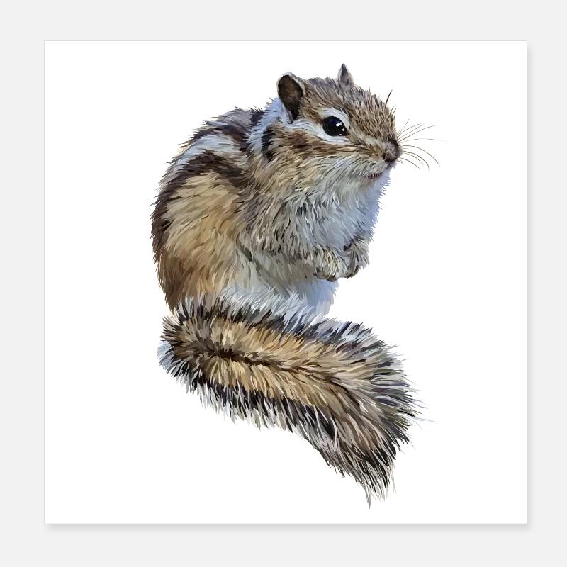 Streifenhörnchen Poster 20x20 cm