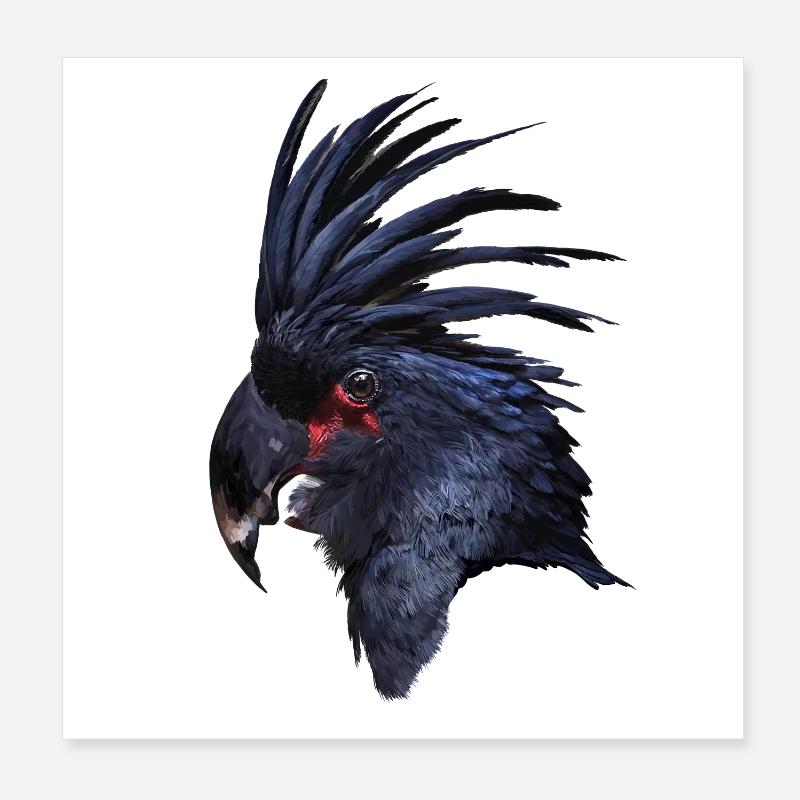 Perroquet Poster 20 x 20 cm