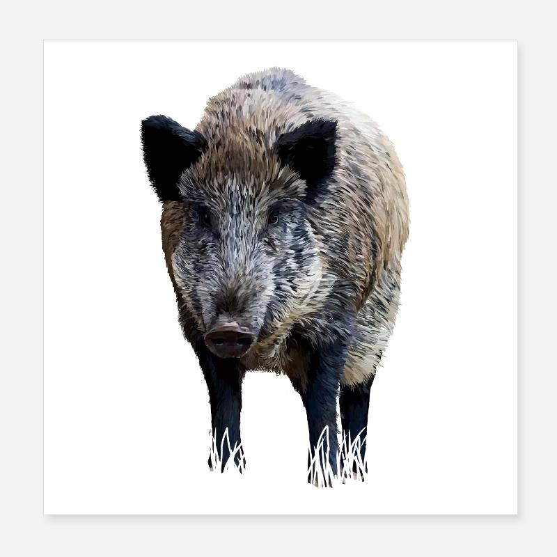 Wildschwein Poster 20x20 cm