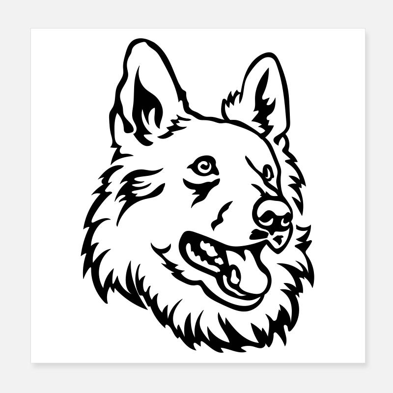 Schweizer Schäferhund Kopf Poster 20x20 cm