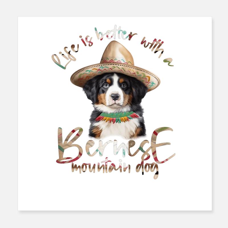 Bouvier bernois Poster 20 x 20 cm