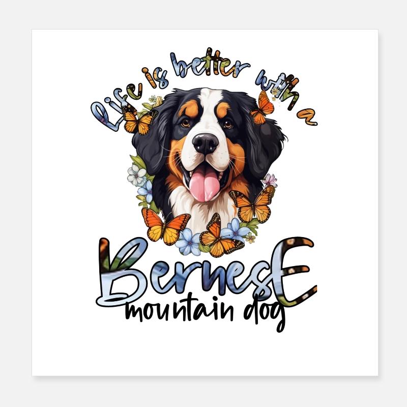 Berner Sennenhund Poster 20x20 cm