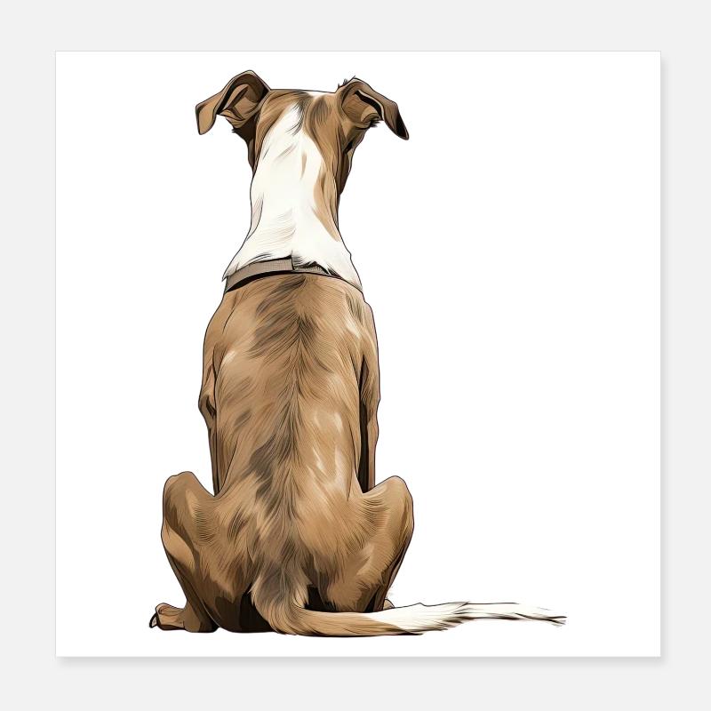 Windhund Poster 20x20 cm