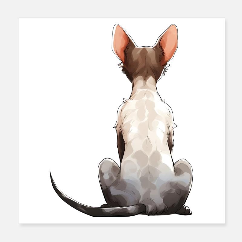 Cornish Rex Poster 20x20 cm