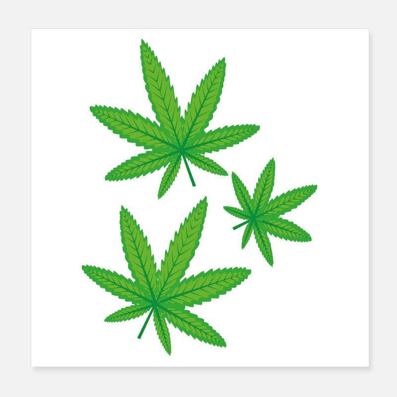 Feuilles de cannabis vertes Poster 20 x 20 cm