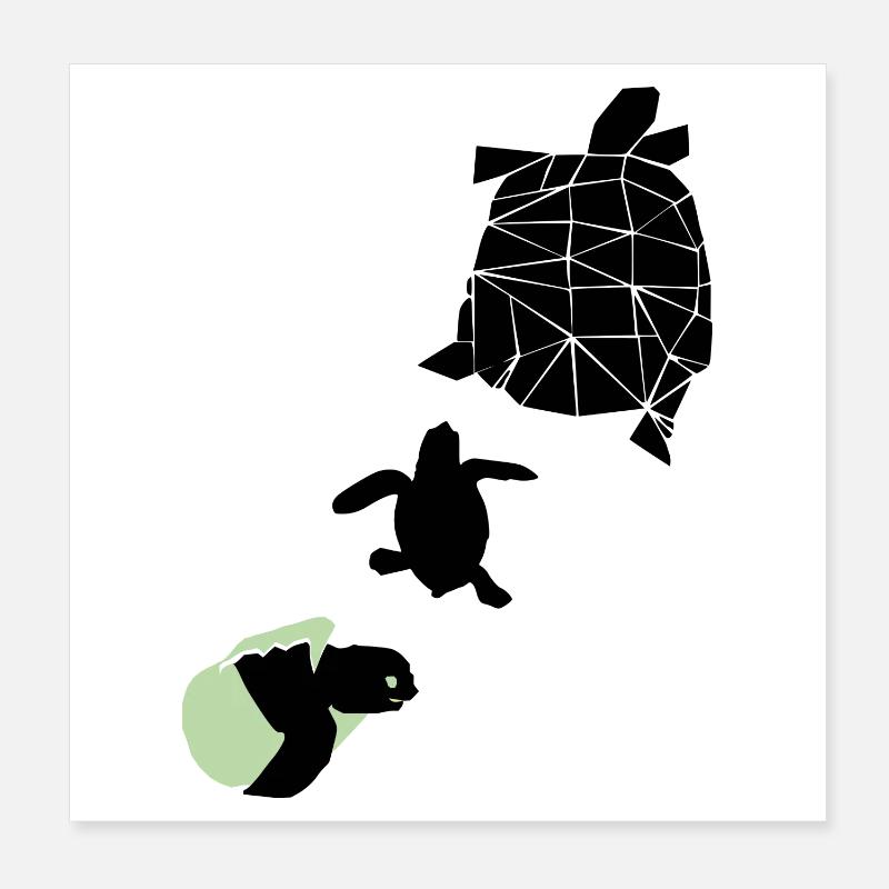 Tortue - Poster 20 x 20 cm - blanc
