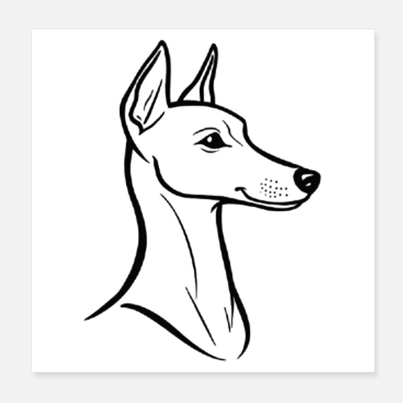 Art au trait minimaliste Whippet - Design élégant de chien Poster 20 x 20 cm