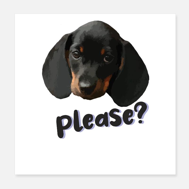 Dackelblick Bitte – Hundeporträt Poster 20x20 cm