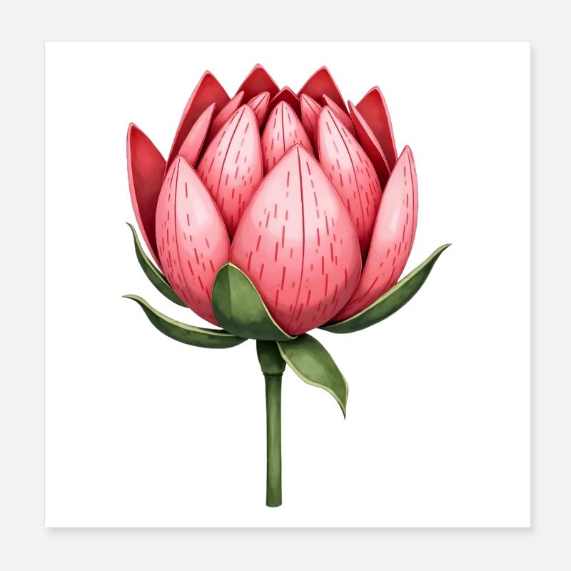 Zuckerbüsche Protea Blume Poster 20x20 cm