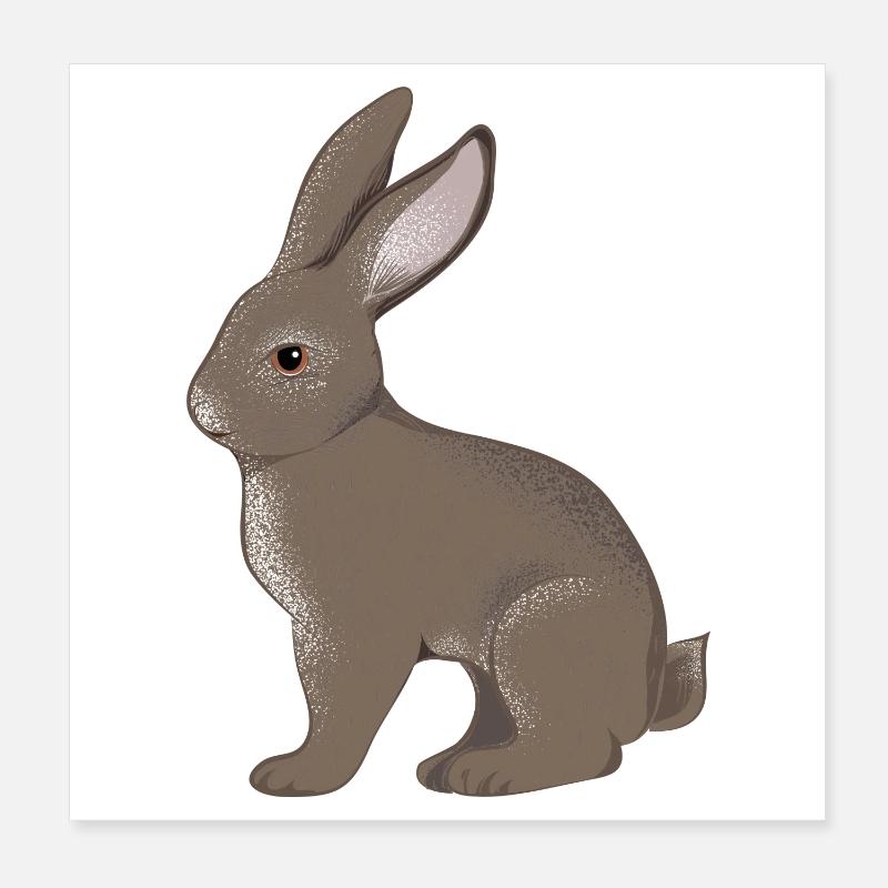 petit lapin Poster 20 x 20 cm