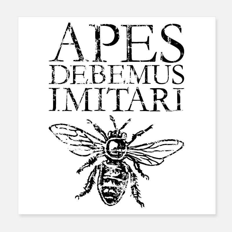 APES DEBEMUS IMITARI Beekeeper Quote Design Poster 8" x 8" (20x20 cm)