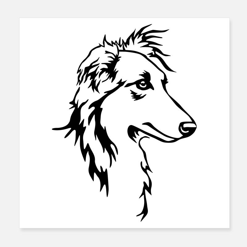 Tête de whippet cheveux longs Poster 20 x 20 cm