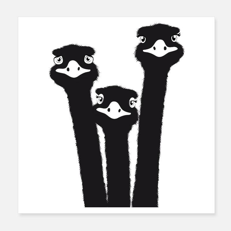 Nandu, tête d’autruche, émeu, autruche Poster 20 x 20 cm